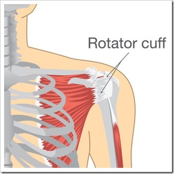 Shoulder Pain Pottstown PA Rotator Cuff Injury